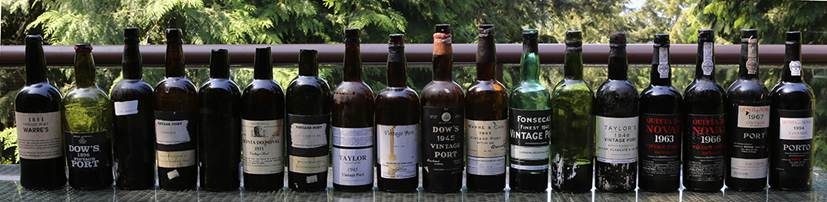 Lineup of Unicorn Vintage Ports