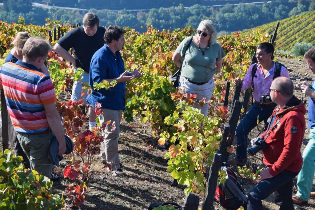 Francisco Ferreira Leads the FTLOP Tour Through Quinta do Vallado’s Vineyards