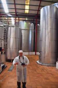 The stainless steel vats at C. da Silva have a capacity of over 6.5 million liters.