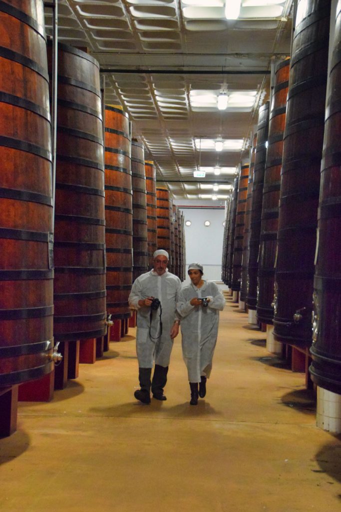 Wooden Casks at C. da Silva