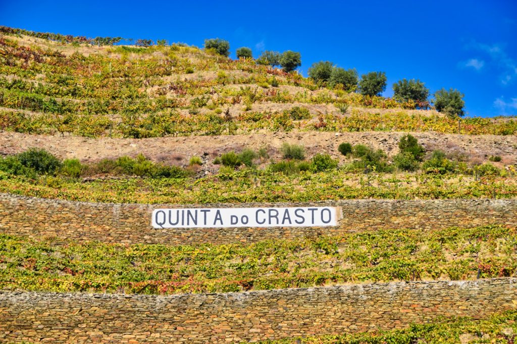 The Vineyards at Quinta do Crasto