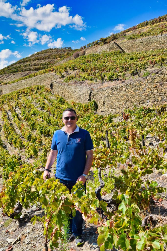 Maria Teresa Vineyard at Quinta do Crasto