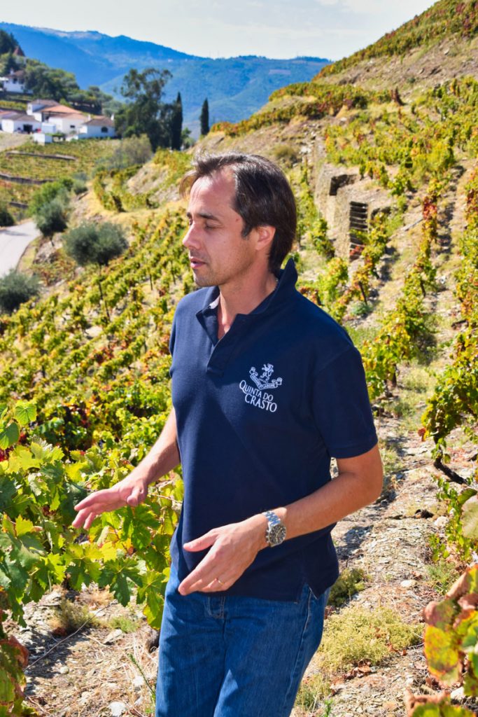 Manuel Lobo, Winemaker at Quinta do Crasto