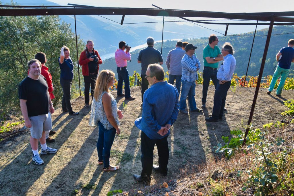 Surveying the Vineyards at Quinta de Devesa