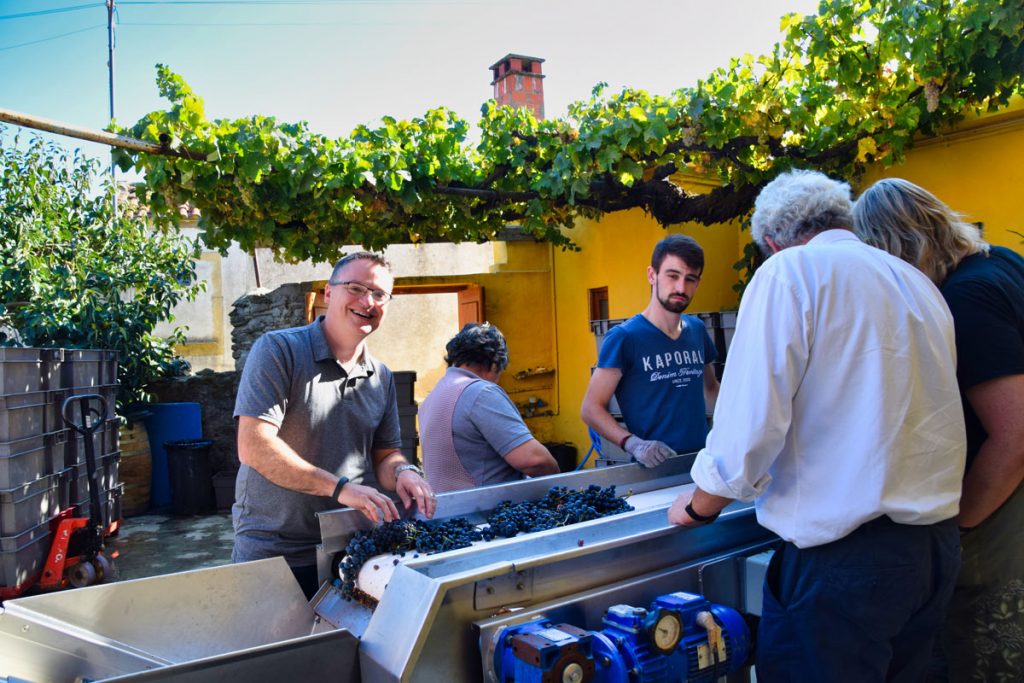 Sorting Grapes at Quinta do Sagrado