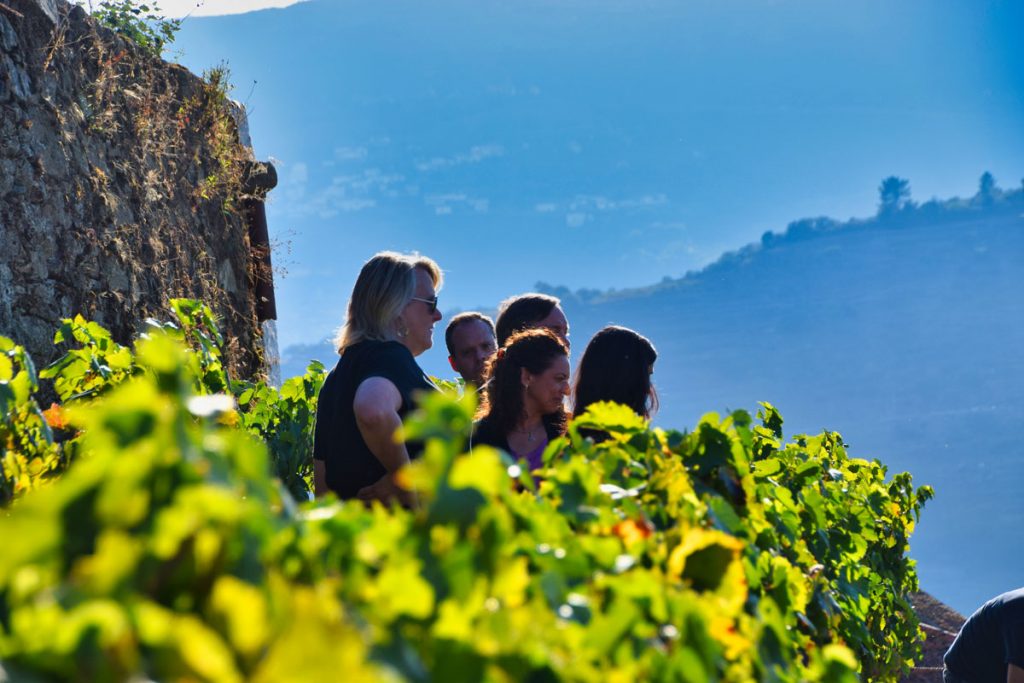 Quinta do Noval's Nacional Vineyards