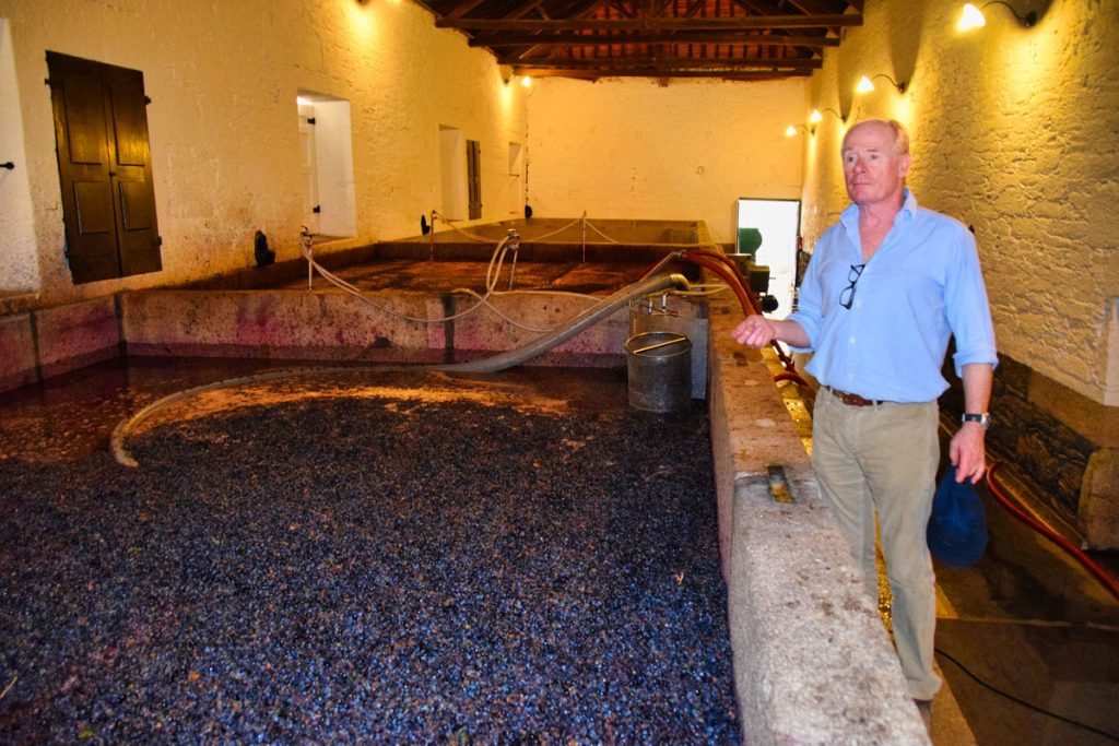 Dominic Symington at Quinta do Vesuvio