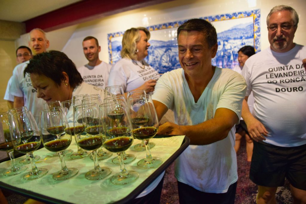 A Special Treat While Treading at Quinta da Levandeira do Roncão