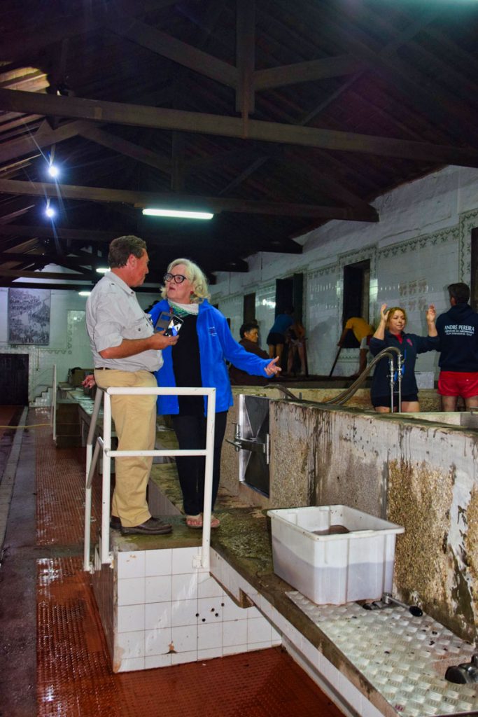 Taylor & Fonseca Winemaker David Guimaraens & Gillyane Robertson